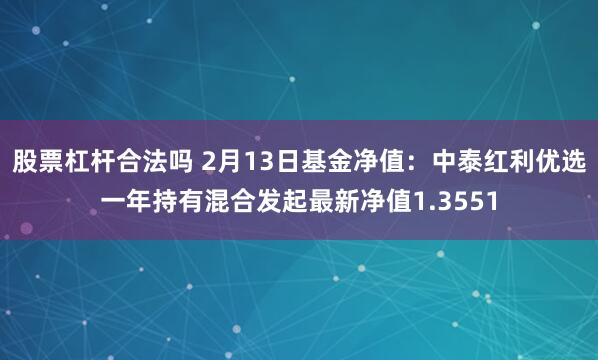 股票杠杆合法吗 2月13日基金净值：中泰红利优选一年持有混合发起最新净值1.3551