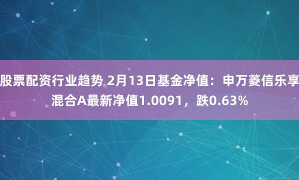 股票配资行业趋势 2月13日基金净值：申万菱信乐享混合A最新净值1.0091，跌0.63%