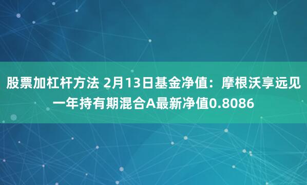 股票加杠杆方法 2月13日基金净值：摩根沃享远见一年持有期混合A最新净值0.8086