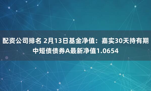 配资公司排名 2月13日基金净值：嘉实30天持有期中短债债券A最新净值1.0654