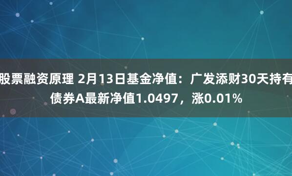 股票融资原理 2月13日基金净值：广发添财30天持有债券A最新净值1.0497，涨0.01%