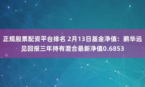 正规股票配资平台排名 2月13日基金净值：鹏华远见回报三年持有混合最新净值0.6853