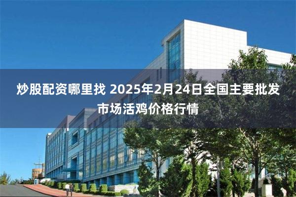 炒股配资哪里找 2025年2月24日全国主要批发市场活鸡价格行情