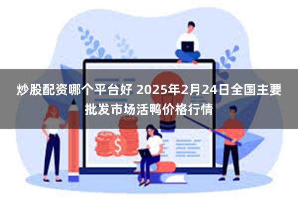 炒股配资哪个平台好 2025年2月24日全国主要批发市场活鸭价格行情