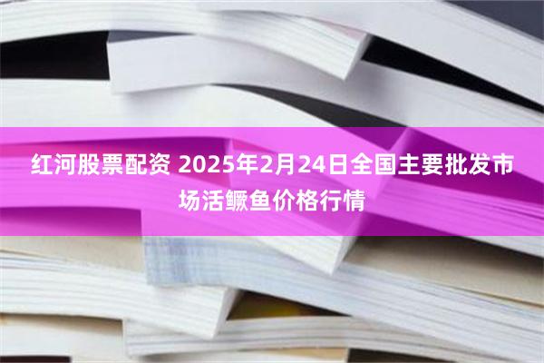 红河股票配资 2025年2月24日全国主要批发市场活鳜鱼价格行情