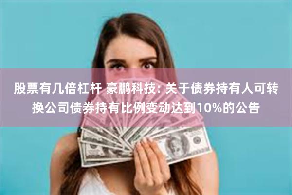 股票有几倍杠杆 豪鹏科技: 关于债券持有人可转换公司债券持有比例变动达到10%的公告