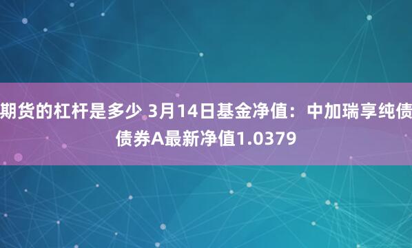 期货的杠杆是多少 3月14日基金净值：中加瑞享纯债债券A最新净值1.0379